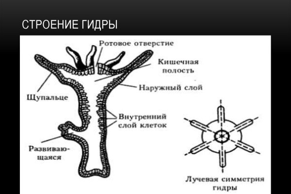 Вход кракен код