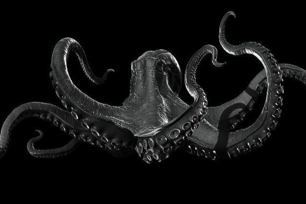 Kraken ссылка