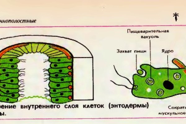 Ссылка на кракен в тор