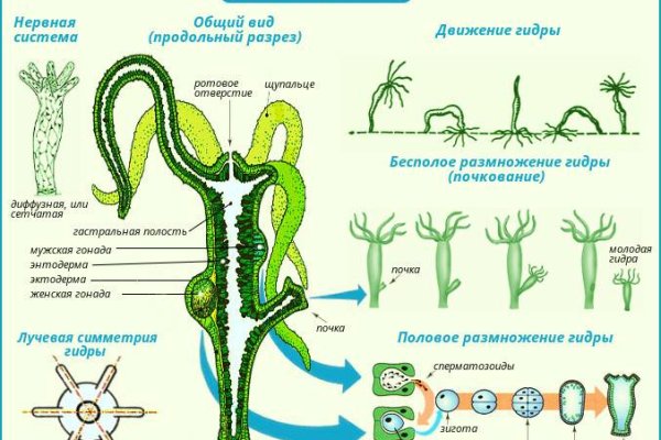 Официальный сайт кракен kraken